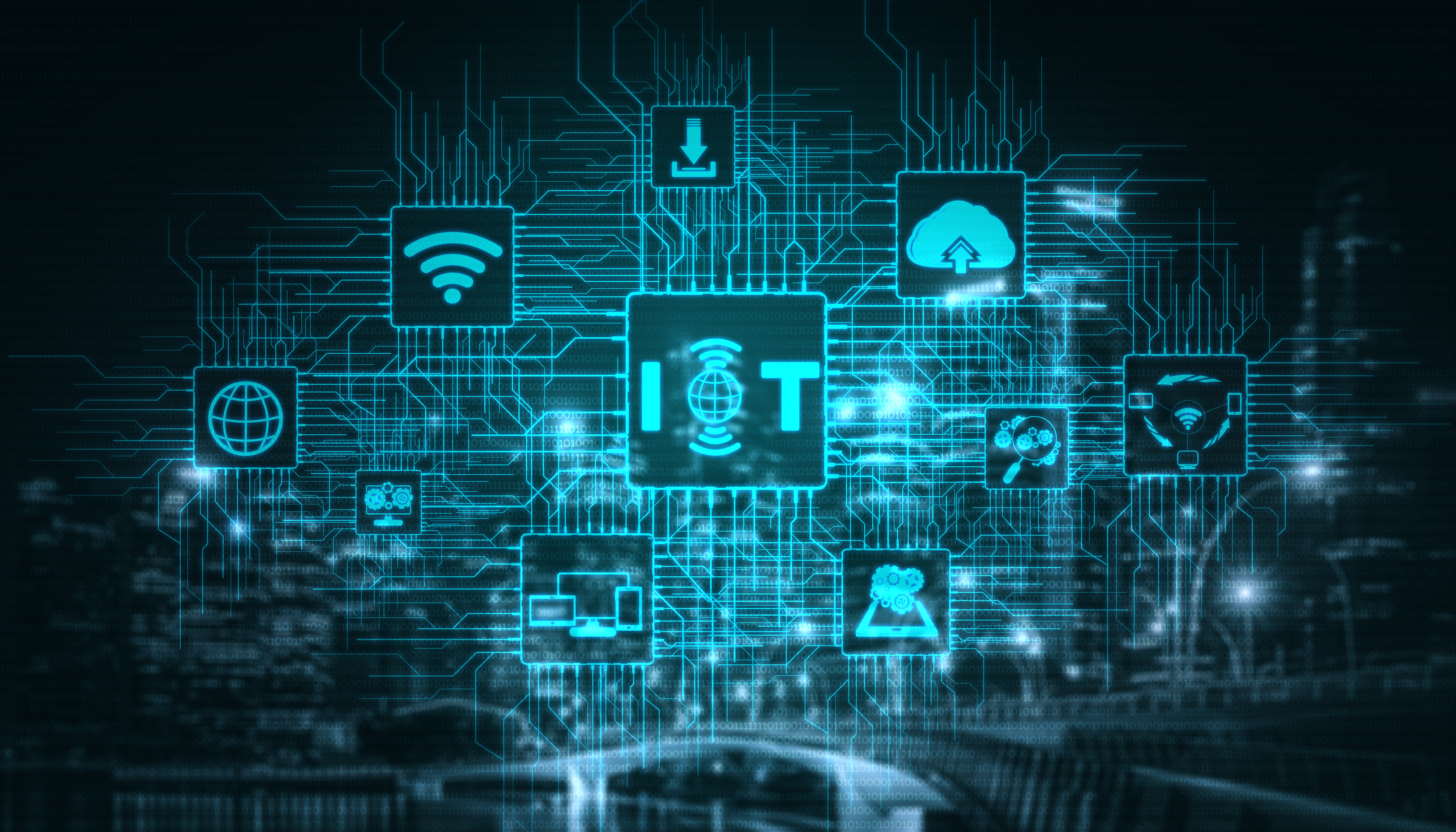 Electronics and IoT learning activity
